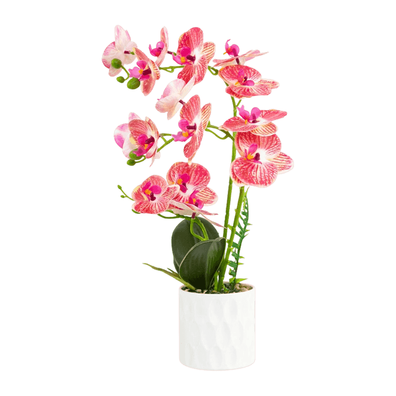 Artificial Orchid In PP Pot With 15 Flowers Artificial Orchid In PP Pot With 15 Flowers