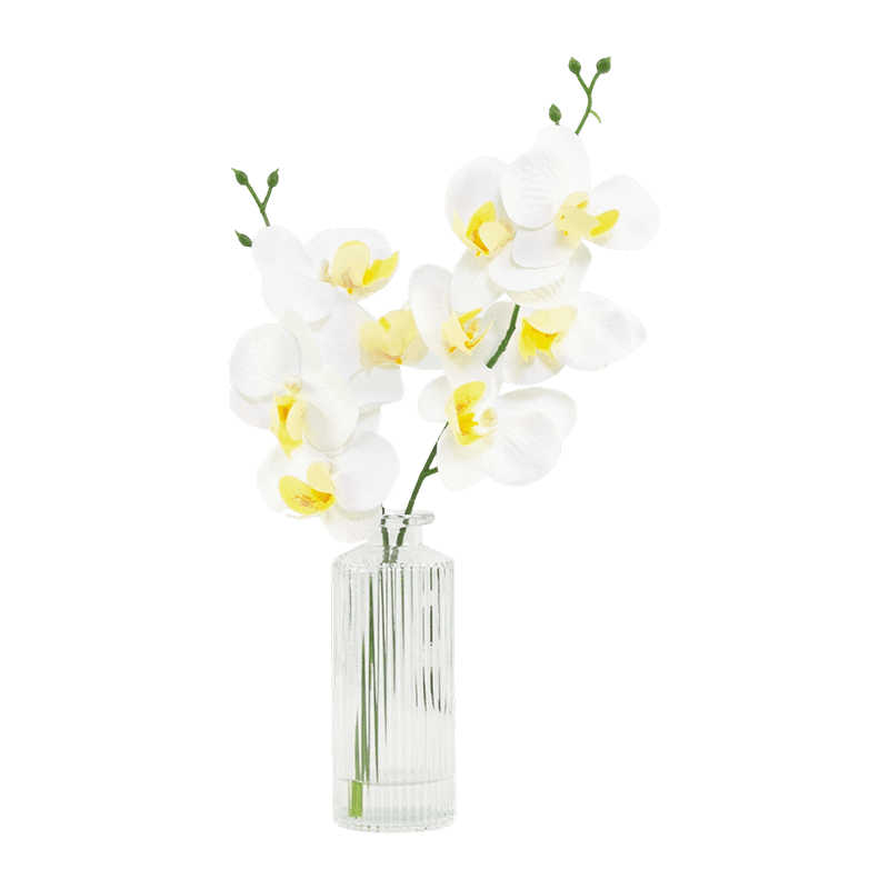 Orchid Flower In Glass Pot 32cm