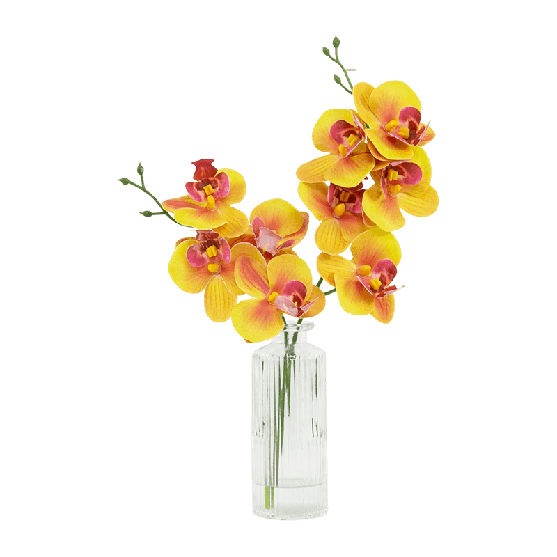Orchid Flower In Glass Pot 32cm