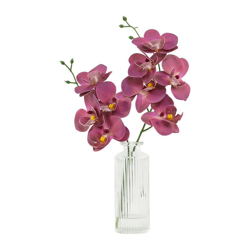 Orchid Flower In Glass Pot 32cm