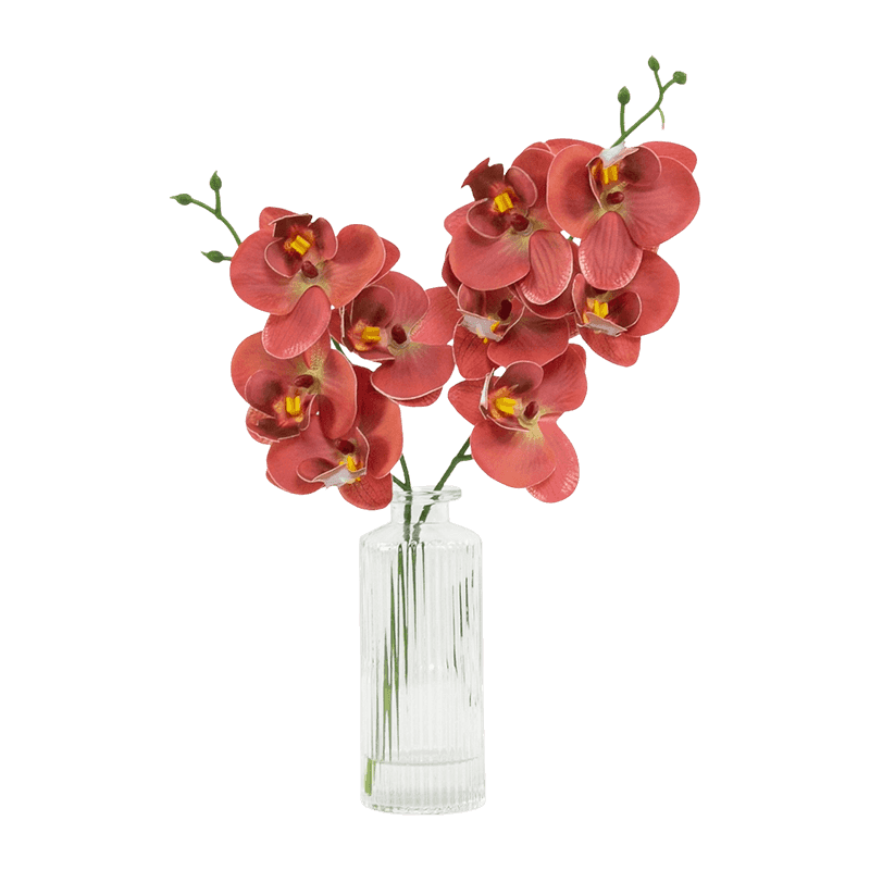 Orchid Flower In Glass Pot 32cm