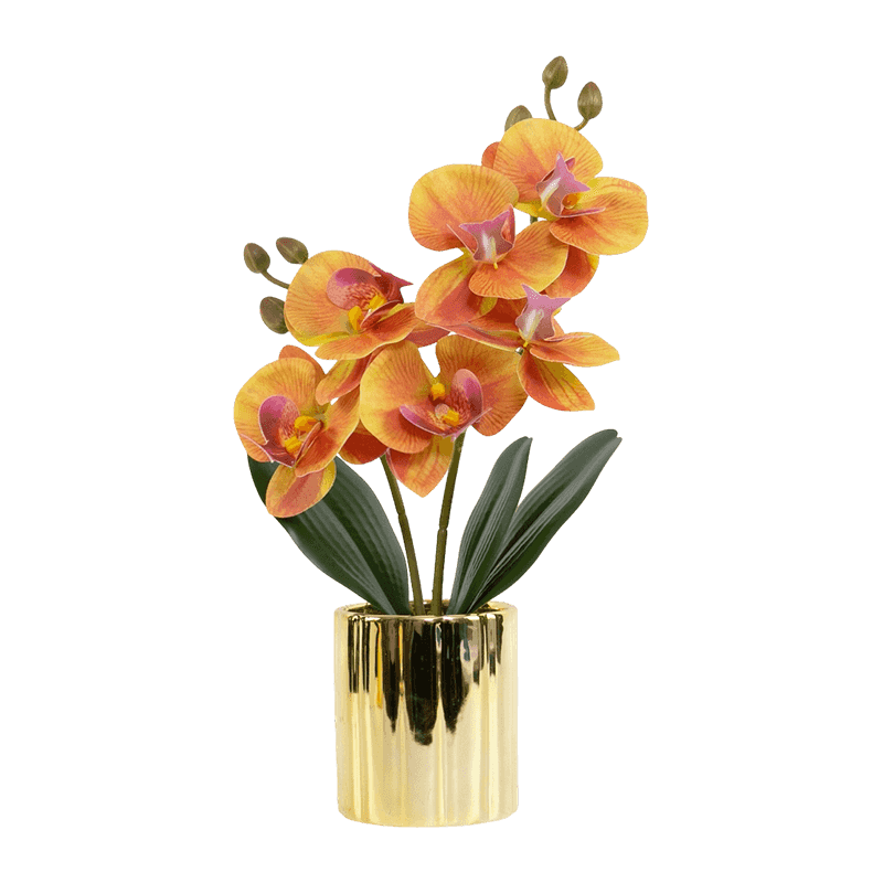 Orchid 3D In Golden Ceramic Pot Orchid 3D In Golden Ceramic Pot