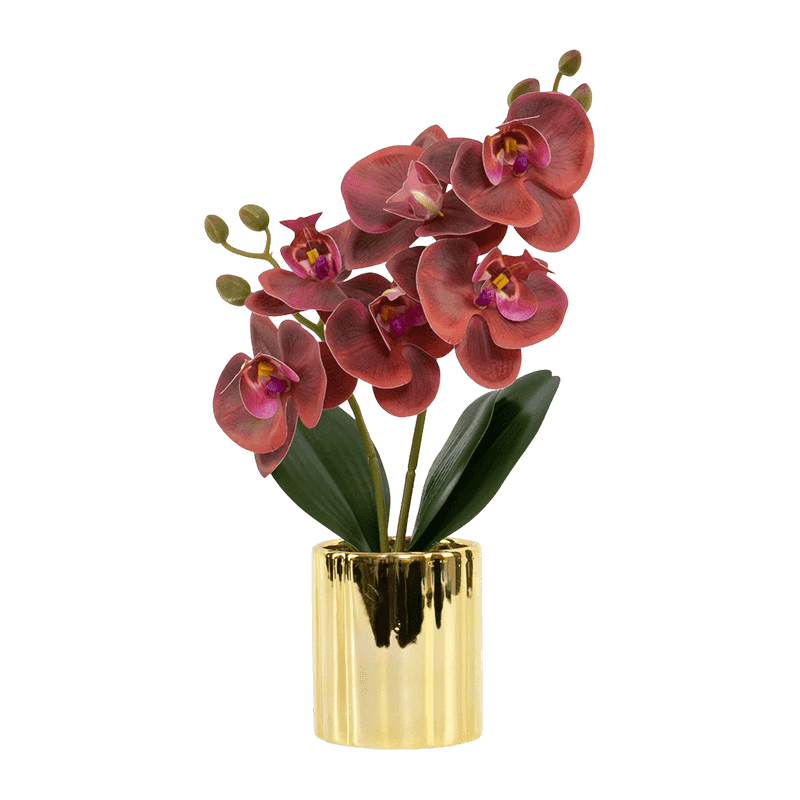 Orchid 3D In Golden Ceramic Pot Orchid 3D In Golden Ceramic Pot