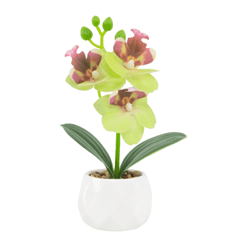 Artificial Orchid In Ceramic Pot 20cm