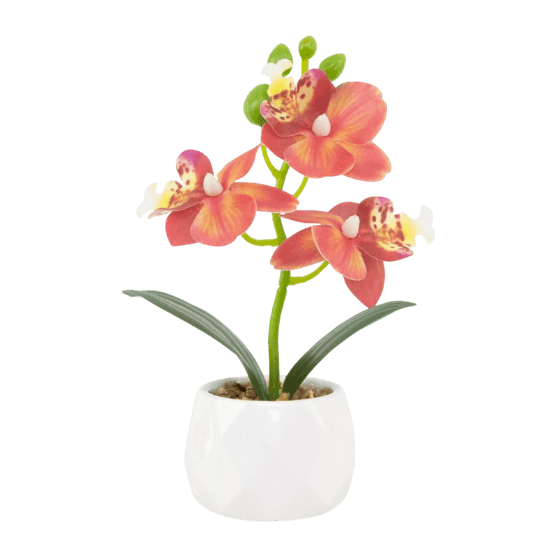 Artificial Orchid In Ceramic Pot 20cm Artificial Orchid In Ceramic Pot 20cm