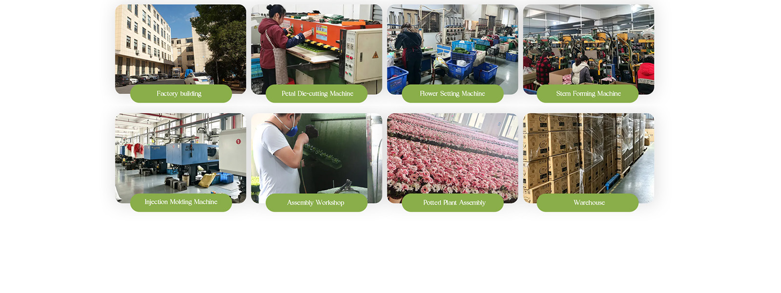 Zhejiang Hansy Craft Co.,Ltd.