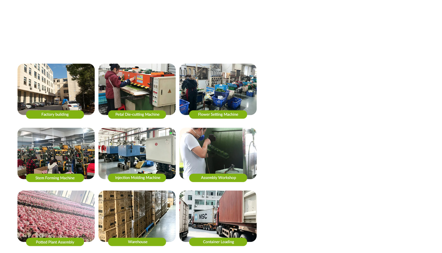 Zhejiang Hansy Craft Co.,Ltd.