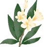 Zhejiang Hansy Craft Co.,Ltd.